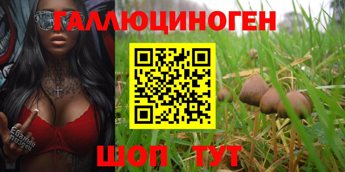 Галлюциногенные грибы ЛСД  Вход с VPN  Новоалександровск 